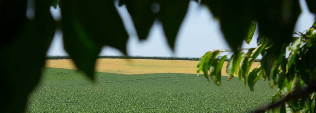 oensels fruitweike minicamping voor adults en 50+ met prachtig uitzicht op plateau van schimmert.